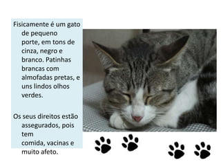 Fisicamente é um gato
de pequeno
porte, em tons de
cinza, negro e
branco. Patinhas
brancas com
almofadas pretas, e
uns lindos olhos
verdes.
Os seus direitos estão
assegurados, pois
tem
comida, vacinas e
muito afeto.

 
