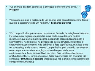 • "Os animais dividem connosco o privilégio de terem uma alma. " –
Pitágoras

• "Virá o dia em que a matança de um animal será considerada crime tanto
quanto o assassinato de um homem."- Leonardo da Vinci

• "Eu comprei 2 chimpanzés machos de uma fazenda de criação na Holanda.
Eles viveram em jaulas separadas, uma perto da outra, por muitos
meses, até que usei um deles como doador de coração. Quando nós o
sacrificamos, na sua jaula, na preparação para a cirurgia, ele gritava e
chorava incessantemente. Não achámos o fato significante, mas isso deve
ter causado grande trauma no seu companheiro, pois quando removemos
o corpo para a sala de operação, o outro chimpanzé chorava
copiosamente e ficou inconsolável por dias. Esse incidente tocou-me
profundamente. Eu jurei nunca mais fazer experiências em criaturas tão
sensíveis." Dr.Christian Barnard (médico que fez o primeiro transplante de
coração em humanos.)

 