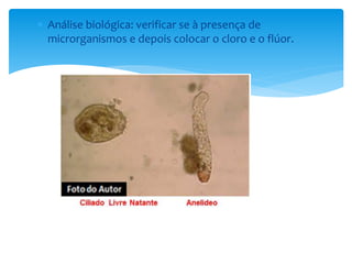  Análise biológica: verificar se à presença de 
microrganismos e depois colocar o cloro e o flúor. 
 