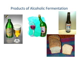 Products of Alcoholic Fermentation 
 