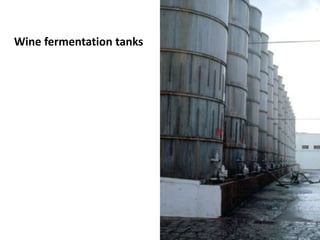 Wine fermentation tanks 
 