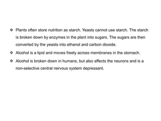  Plants often store nutrition as starch. Yeasts cannot use starch. The starch 
is broken down by enzymes in the plant into sugars. The sugars are then 
converted by the yeasts into ethanol and carbon dioxide. 
 Alcohol is a lipid and moves freely across membranes in the stomach. 
 Alcohol is broken down in humans, but also affects the neurons and is a 
non-selective central nervous system depressant. 
 