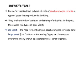 BREWER’S YEAST 
 Brewer’s yeast is dried, pulverized cells of saccharomyces cervisia, a 
type of yeast that reproduce by budding. 
 They are hundreds of varieties and straing of this yeast in the past, 
there were two types of beer yeast; 
 ale yeast : [ the “top fermenting type, saccharomyces cerviside ]and 
large yeast: [the “bottom – fermenting “type, saccharomyces 
uvarum,tormerly known as saccharomyces carlsbergensis]. 
 