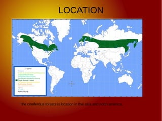 LOCATION
The coniferous forests is location in the asia and north america.
 