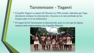 Taromenane - Tagaeri
• El pueblo Tagaeri se separó del Waorani en 1968 cuando, liderados por Taga,
decidieron rechazar la ...