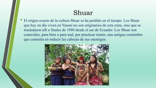 Shuar
• El origen exacto de la cultura Shuar se ha perdido en el tiempo. Los Shuar
que hoy en día viven en Yasuní no son o...
