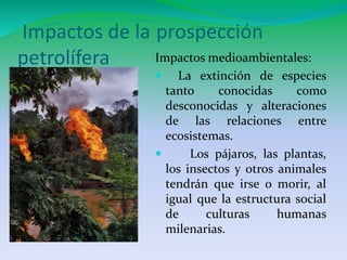 Impactos de la prospección 
petrolífera Impactos medioambientales: 
 La extinción de especies 
tanto conocidas como 
desconocidas y alteraciones 
de las relaciones entre 
ecosistemas. 
 Los pájaros, las plantas, 
los insectos y otros animales 
tendrán que irse o morir, al 
igual que la estructura social 
de culturas humanas 
milenarias. 
 
