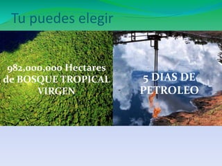 Tu puedes elegir 
982,000,000 Hectares 
de BOSQUE TROPICAL 
VIRGEN 
5 DIAS DE 
PETROLEO 

