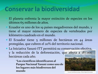 Conservar la biodiversidad 
 El planeta enfrenta la mayor extinción de especies en los 
últimos 65 millones de años. 
 Ecuador es uno de los 19 países megadiversos del mundo, y 
tiene el mayor número de especies de vertebrados por 
kilómetro cuadrado en el mundo. 
 El Ecuador tiene 5 millones de hectáreas en 44 áreas 
protegidas, que cubren el 20% del territorio nacional. 
 La Iniciativa Yasuní-ITT permitirá su conservación efectiva, 
y la reducción de la deforestación, que afecta a 187.000 
hectáreas cada año. 
“Los científicos identificaron al 
Parque Nacional Yasuní como uno de 
los lugares más biodiversos del 
mundo 
 