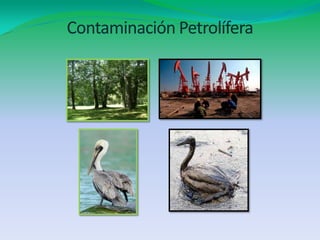 Contaminación Petrolífera