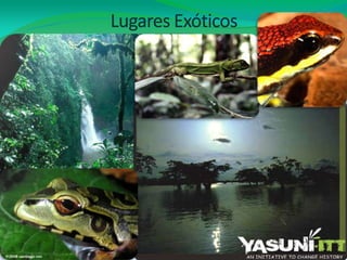 Lugares Exóticos