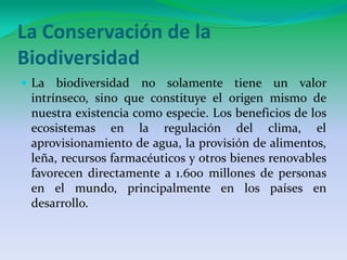 La Conservación de la BiodiversidadLa biodiversidad no solamente tiene un valor intrínseco, sino que constituye el origen mismo de nuestra existencia como especie. Los beneficios de los ecosistemas en la regulación del clima, el aprovisionamiento de agua, la provisión de alimentos, leña, recursos farmacéuticos y otros bienes renovables favorecen directamente a 1.600 millones de personas en el mundo, principalmente en los países en desarrollo.