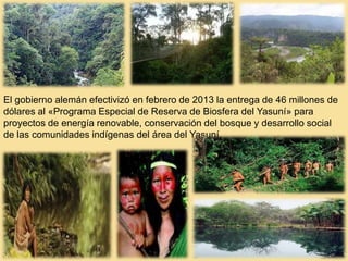 El gobierno alemán efectivizó en febrero de 2013 la entrega de 46 millones de
dólares al «Programa Especial de Reserva de Biosfera del Yasuní» para
proyectos de energía renovable, conservación del bosque y desarrollo social
de las comunidades indígenas del área del Yasuní.
 