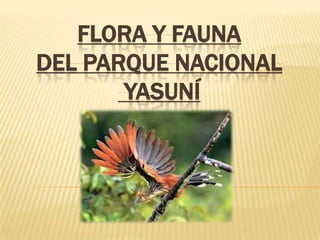FLORA Y FAUNA
DEL PARQUE NACIONAL
YASUNÍ
 
