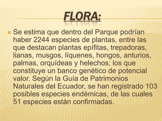 FLORA:
 Se estima que dentro del Parque podrían
haber 2244 especies de plantas, entre las
que destacan plantas epífitas, trepadoras,
lianas, musgos, líquenes, hongos, anturios,
palmas, orquídeas y helechos; los que
constituye un banco genético de potencial
valor. Según la Guía de Patrimonios
Naturales del Ecuador, se han registrado 103
posibles especies endémicas, de las cuales
51 especies están confirmadas.
 