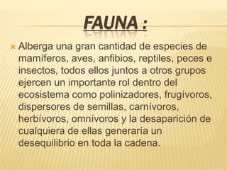 FAUNA :
 Alberga una gran cantidad de especies de
mamíferos, aves, anfibios, reptiles, peces e
insectos, todos ellos juntos a otros grupos
ejercen un importante rol dentro del
ecosistema como polinizadores, frugívoros,
dispersores de semillas, carnívoros,
herbívoros, omnívoros y la desaparición de
cualquiera de ellas generaría un
desequilibrio en toda la cadena.
 