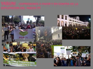 YASUNI : EXPRESIONES A FAVOR Y EN CONTRA DE LA
EXPLOTACION DEL YASUNI ITT
 