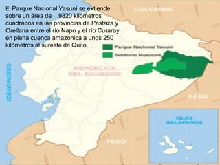 El Parque Nacional Yasuní se extiende
sobre un área de 9820 kilómetros
cuadrados en las provincias de Pastaza y
Orellana entre el río Napo y el río Curaray
en plena cuenca amazónica a unos 250
kilómetros al sureste de Quito.
 