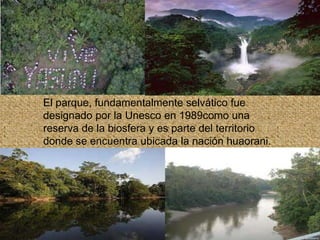 El parque, fundamentalmente selvático fue
designado por la Unesco en 1989como una
reserva de la biosfera y es parte del territorio
donde se encuentra ubicada la nación huaorani.
 