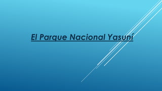 El Parque Nacional Yasuní

 