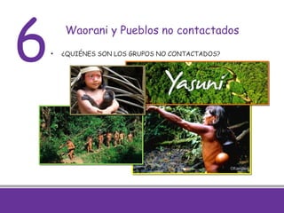 19
Waorani y Pueblos no contactados
• ¿QUIÉNES SON LOS GRUPOS NO CONTACTADOS?
6
 