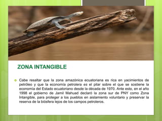  Cabe resaltar que la zona amazónica ecuatoriana es rica en yacimientos de
petróleo y que la economía petrolera es el pilar sobre el que se sostiene la
economía del Estado ecuatoriano desde la década de 1970. Ante esto, en el año
1998 el gobierno de Jamil Mahuad declaró la zona sur de PNY como Zona
Intangible, para proteger a los pueblos en aislamiento voluntario y preservar la
reserva de la biósfera lejos de los campos petroleros.
 
