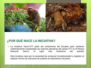  La Iniciativa Yasuní-ITT parte del compromiso del Ecuador para mantener
indefinidamente inexplotadas las reservas petroleras del campo ITT, en el Parque
Nacional Yasuní, el lugar más biodiverso del planeta.
Esta Iniciativa nace por la necesidad de conservar la biodiversidad y respetar un
espacio mínimo de vida para los pueblos en aislamiento voluntario.
 