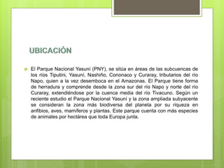  El Parque Nacional Yasuní (PNY), se sitúa en áreas de las subcuencas de
los ríos Tiputini, Yasuní, Nashiño, Cononaco y Curaray, tributarios del río
Napo, quien a la vez desemboca en el Amazonas. El Parque tiene forma
de herradura y comprende desde la zona sur del río Napo y norte del río
Curaray, extendiéndose por la cuenca media del río Tivacuno. Según un
reciente estudio el Parque Nacional Yasuní y la zona ampliada subyacente
se consideran la zona más biodiversa del planeta por su riqueza en
anfibios, aves, mamíferos y plantas. Este parque cuenta con más especies
de animales por hectárea que toda Europa junta.
 