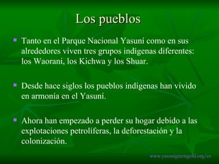Los pueblos Tanto en el Parque Nacional Yasuní como en sus alrededores viven tres grupos indígenas diferentes: los Waorani, los Kichwa y los Shuar.  Desde hace siglos los pueblos indígenas han vivido en armonía en el Yasuní. Ahora han empezado a perder su hogar debido a las explotaciones petrolíferas, la deforestación y la colonización. www.yasunigreengold.org/es 