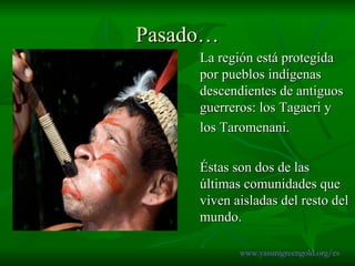 Pasado… La región está protegida por pueblos indígenas descendientes de antiguos guerreros: los Tagaeri y  los Taromenani.  Éstas son dos de las últimas comunidades que viven aisladas del resto del mundo. www.yasunigreengold.org/es 