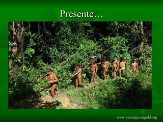 Presente… www.yasunigreengold.org 
