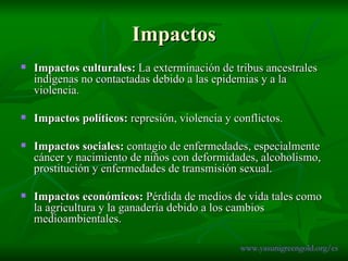 Impactos Impactos culturales:  La exterminación de tribus ancestrales indígenas no contactadas debido a las epidemias y a la violencia. Impactos políticos:  represión, violencia y conflictos.  Impactos sociales:  contagio de enfermedades, especialmente cáncer y nacimiento de niños con deformidades, alcoholismo, prostitución y enfermedades de transmisión sexual.  Impactos económicos:  Pérdida de medios de vida tales como la agricultura y la ganadería debido a los cambios medioambientales.  www.yasunigreengold.org/es 