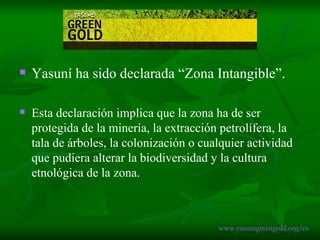 Yasuní ha sido declarada “Zona Intangible”. Esta declaración implica que la zona ha de ser protegida de la minería, la extracción petrolífera, la tala de árboles, la colonización o cualquier actividad que pudiera alterar la biodiversidad y la cultura etnológica de la zona.   www.yasunigreengold.org/es 
