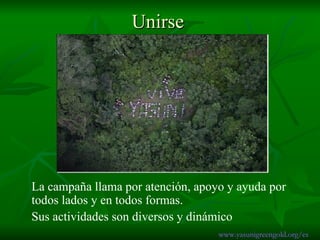 Unirse La campaña llama por atención, apoyo y ayuda por todos lados y en todos formas.  Sus actividades son diversos y dinámico www.yasunigreengold.org/es 