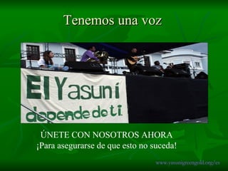 Tenemos una voz ÚNETE CON NOSOTROS AHORA  ¡Para asegurarse de que esto no suceda!  www.yasunigreengold.org/es 