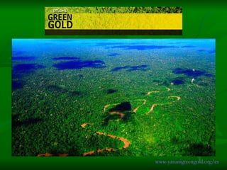 www.yasunigreengold.org/es 