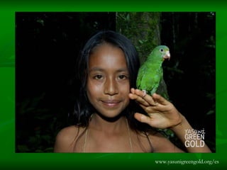 www.yasunigreengold.org/es 