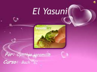 El Yasuni



 Por: Cynthia jaramillo
Curso: Bach “E”
 