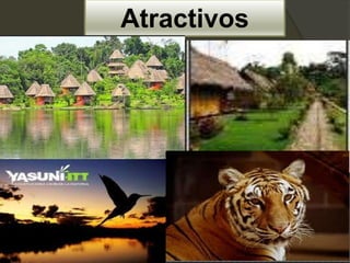 Atractivos
 