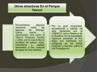 Encontramos algunos
atractivos como las
lagunas, de Añango,
Garza cocha y
Jatuncocha, ríos como el
Yasuní, Tivacuno, Tiputini
y otros, por lo que la fauna
acuática de peces, aves,
mamíferos y reptiles
asociados a los cuerpos
de agua es muy diversa.
Por su gran diversidad,
ecosistemas y hábitat, ha
sido declarado por la
UNESCO como Reserva de
la Biosfera. En la actualidad,
regiones próximas al Río
Napo son habitadas por
indígenas de las etnias
Huaorani y Kichwa, sobre la
vía Pompeya-Iro.
Otros atractivos En el Parque
Yasuní
 