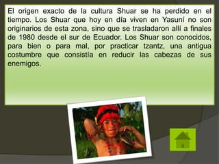 El origen exacto de la cultura Shuar se ha perdido en el
tiempo. Los Shuar que hoy en día viven en Yasuní no son
originarios de esta zona, sino que se trasladaron allí a finales
de 1980 desde el sur de Ecuador. Los Shuar son conocidos,
para bien o para mal, por practicar tzantz, una antigua
costumbre que consistía en reducir las cabezas de sus
enemigos.
 
