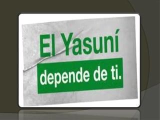 Yasuni  itt