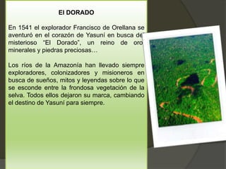 El DORADO
En 1541 el explorador Francisco de Orellana se
aventuró en el corazón de Yasuní en busca del
misterioso “El Dorado”, un reino de oro,
minerales y piedras preciosas…
Los ríos de la Amazonía han llevado siempre
exploradores, colonizadores y misioneros en
busca de sueños, mitos y leyendas sobre lo que
se esconde entre la frondosa vegetación de la
selva. Todos ellos dejaron su marca, cambiando
el destino de Yasuní para siempre.
 