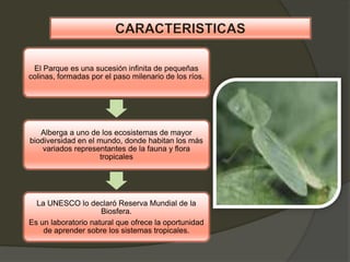 El Parque es una sucesión infinita de pequeñas
colinas, formadas por el paso milenario de los ríos.
Alberga a uno de los ecosistemas de mayor
biodiversidad en el mundo, donde habitan los más
variados representantes de la fauna y flora
tropicales
La UNESCO lo declaró Reserva Mundial de la
Biosfera.
Es un laboratorio natural que ofrece la oportunidad
de aprender sobre los sistemas tropicales.
 