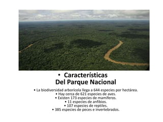 • Características
Del Parque Nacional
• La biodiversidad arborícola llega a 644 especies por hectárea.
• Hay cerca de 621 especies de aves.
• Existen 173 especies de mamíferos.
• 11 especies de anfibios.
• 107 especies de reptiles.
• 385 especies de peces e invertebrados.
 