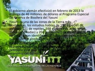 • El gobierno alemán efectivizó en febrero de 2013 la 
entrega de 46 millones de dólares al Programa Especial 
de Reserva de Biosfera del Yasuní
• Yasuní es una de las zonas de la Tierra más 
biodiversas, los estudios hablan de 150 especies de 
anfibios, 121 de reptiles, 598 especies de aves, entre 
169 (confirmadas) y 204 (estimadas) de mamíferos, y 
en flora se han identificado 2113 especies y se estima 
que existirían alrededor de 3100.
• Cabe resaltar que la zona amazónica ecuatoriana es 
rica en yacimientos de petróleo y que la economía 
petrolera es el pilar sobre el que se sostiene la 
economía del Estado ecuatoriano desde la década de 
1970. 
 