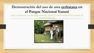 Demostración del uso de una cerbatana en
el Parque Nacional Yasuní
https://es.wikipedia.org/wiki/Parque_nacional_Yasun%C3%AD#/media/File:Ecuadorian_Ra
inforest-blowgun.jpg
 