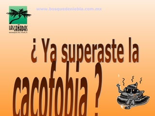 www.bosquedeniebla.com.mx
 