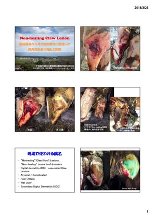 2018/2/26
1
Non-healing Claw Lesion
臨床現場から見た趾皮膚炎に関連した
蹄角質疾患の発生と防除
平成29年度日本獣医師会獣医学術年次大会
2018年2月12日 別府国際コンベンショナルセンター、別府 初診：3産DIM188日、左後肢
初診 14日後
初診から22日目
（7日目にNon-healingと診断
積極的に蹄角質を切除）
不整な肉芽組織の隆起
全ての蹄壁を切除
現場で使われる病名
• “Nonhealing” Claw (Hoof) Lesions,
“Non-healing” bovine hoof disorders
• Digital dermatitis (DD) – associated Claw
Lesions
• Atypical / Complicated
• Hairy Attack
• Wall ulcer
• Secondary Digital Dermatitis (SDD)
Photo: Karl Burgi
 
