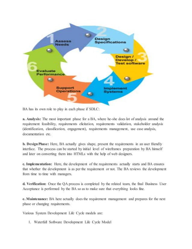 Business Analyst Documentation PDF